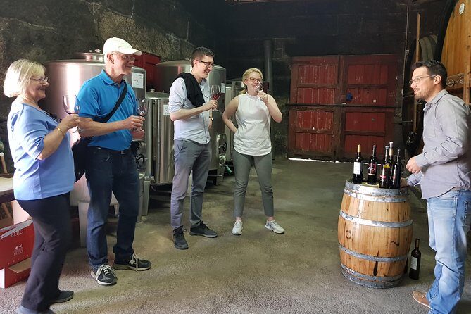 Douro Valley Wine Tour: 3 Vineyard Visits, Wine Tastings, Lunch - Wine tasting reality check: DOC, Port, and the tasting amount