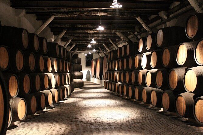 Douro Valley Wine Tour Private Group, 1h Cruise, Lunch from Porto - The 50-minute Douro cruise: how you see the valley differently