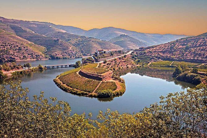 Douro Valley Wine Tour Private Group, 1h Cruise, Lunch from Porto - Peso da Régua lunch and a small family winery tasting