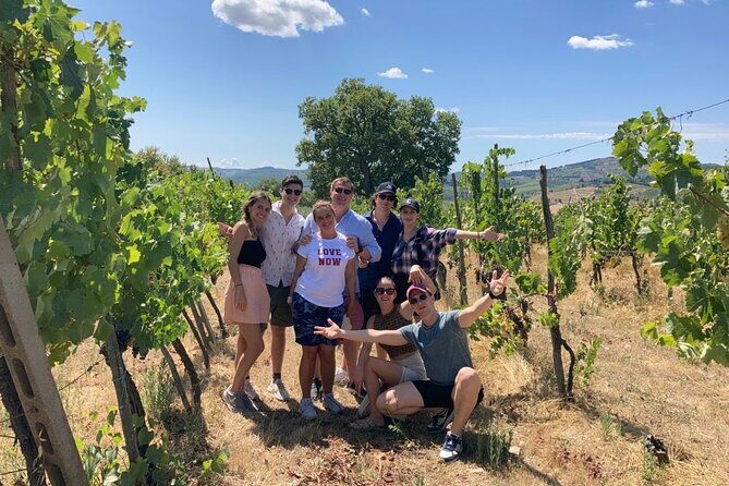 Douro Valley Wine Tour Private Group, 1h Cruise, Lunch from Porto - Ending back in Porto: dropping you off and letting you recover