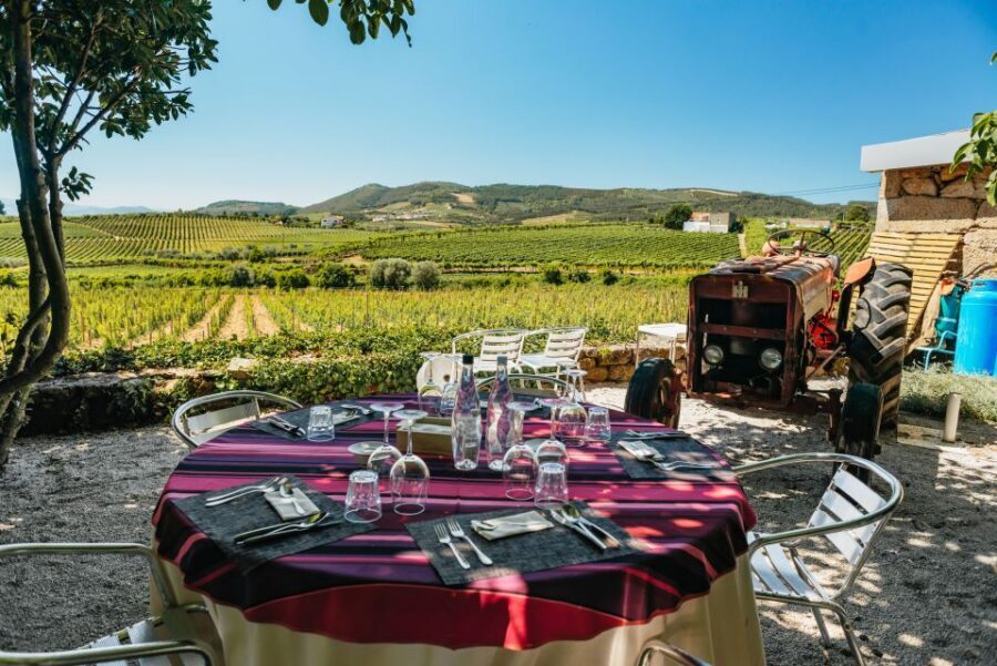 Douro Valley: Wine Tour with Lunch, Tastings & River Cruise - Guides make or break the day (and this one often delivers)