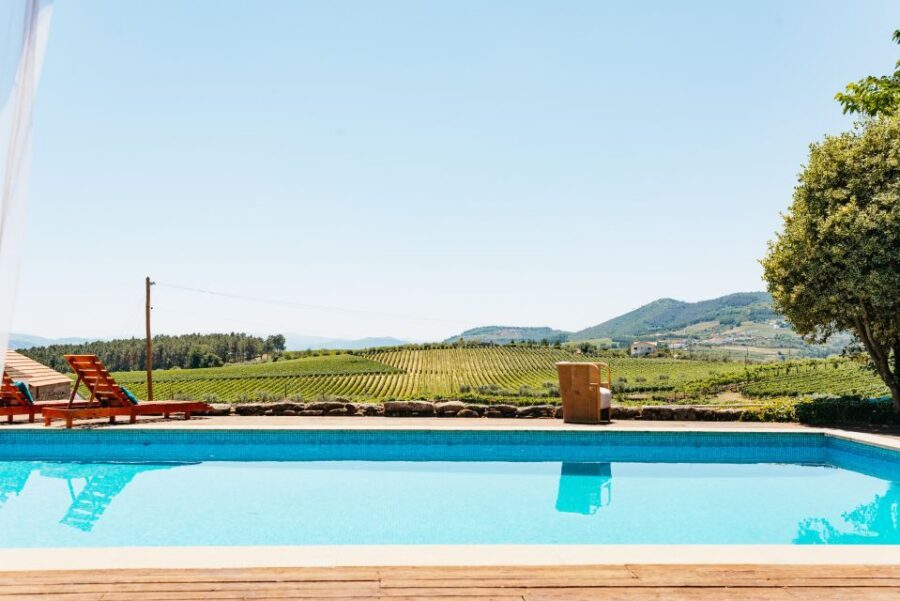 Douro Valley: Wine Tour with Lunch, Tastings & River Cruise - Sabrosa family estate: vineyard views and guided tasting