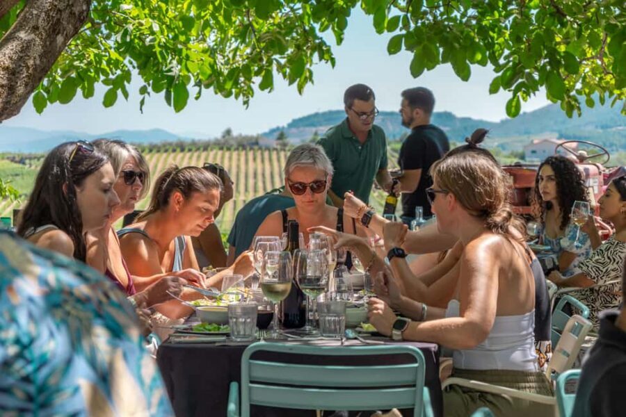 Douro Valley: Wine Tour with Lunch, Tastings & River Cruise - Lunch at the estate: where the tour’s value shows up
