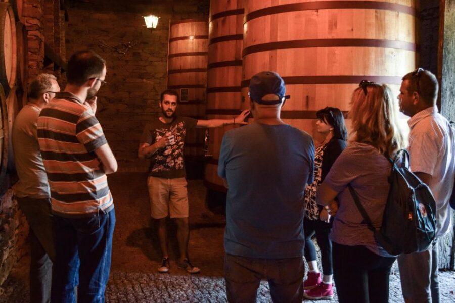 Douro Valley: Winery Tour at Quinta do Tedo and Tastings - Should You Book Quinta do Tedo Winery Tour and Tastings?