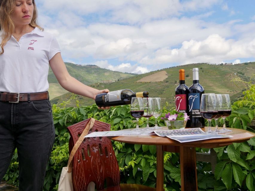 Douro Valley: Winery Tour at Quinta do Tedo and Tastings - The Tasting Room Overlooking the Douro: Porto and Red Wine in Context