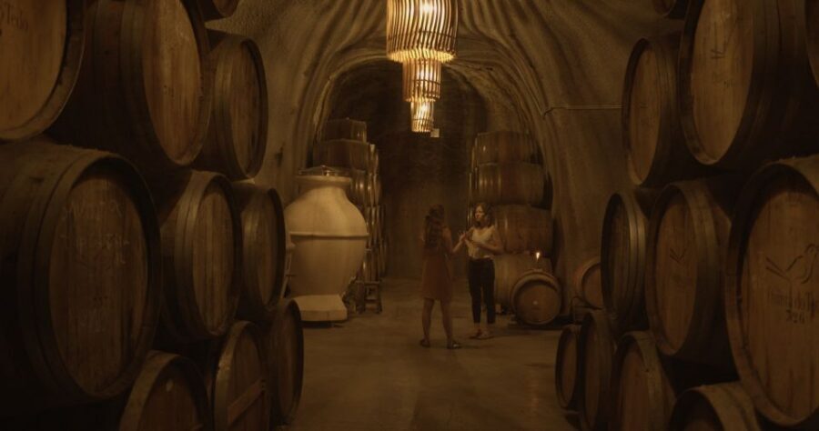 Douro Valley: Winery Tour at Quinta do Tedo and Tastings - Accessibility and Languages: What to Expect in the Human Part of the Tour