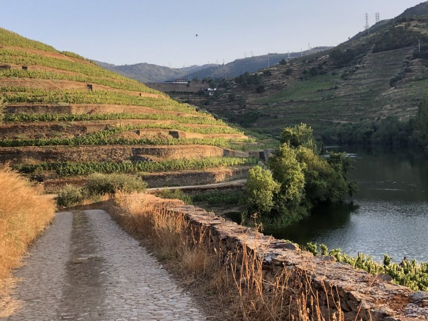 Douro Valley: Winery Tour at Quinta do Tedo and Tastings - Who This Tour Suits Best (and Who Might Want to Skip It)