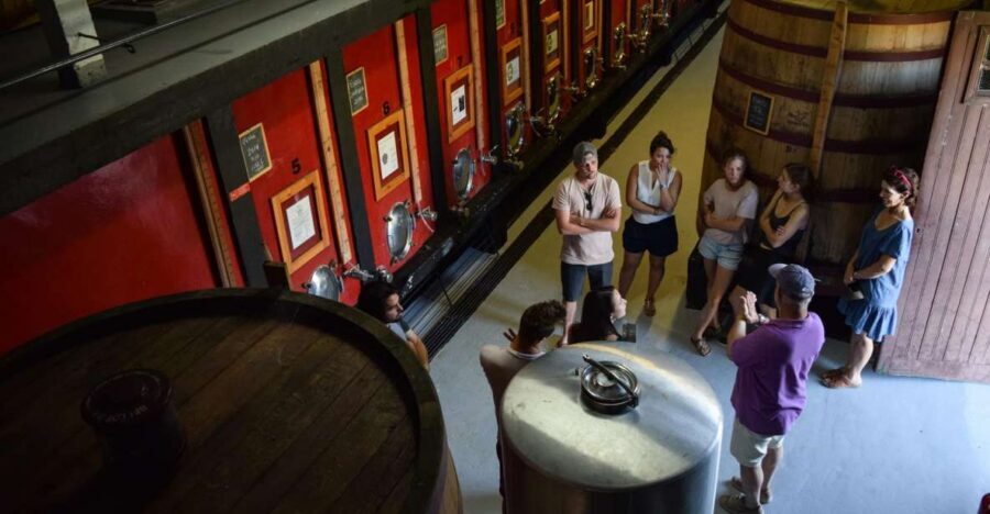 Douro Valley: Winery Tour at Quinta do Tedo and Tastings - Organic Vineyards and Class A Rating: What That Means for Your Glass