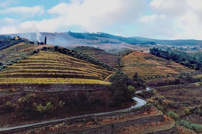 Douro Valley with Two Winery, Boat Trip and Lunch From Porto - Key highlights you’ll care about