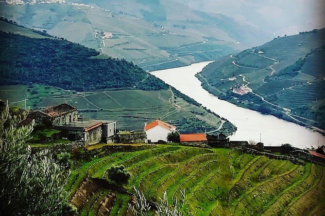 Douro Valley with Two Winery, Boat Trip and Lunch From Porto - Why this Douro day feels different: a small van, not a factory tour