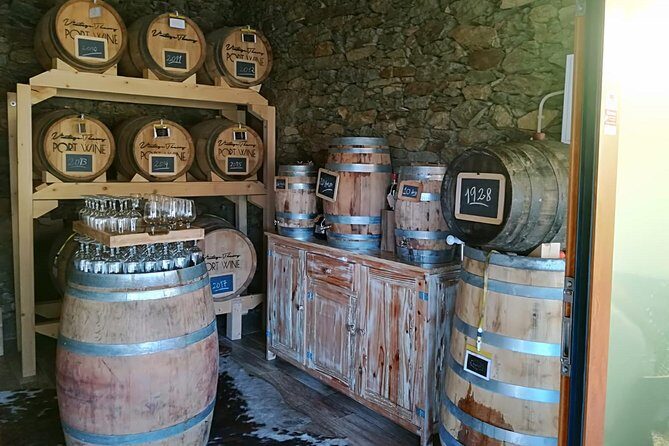 Douro Valley with Two Winery, Boat Trip and Lunch From Porto - Pinhão river cruise: the view you can’t get from the road