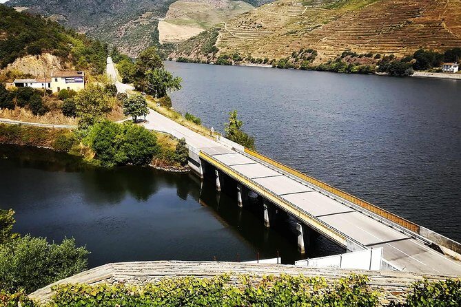 Douro Valley with Two Winery, Boat Trip and Lunch From Porto - D’Origem tasting and the olive oil, honey, and almonds moments