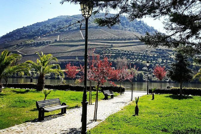 Douro Valley with Two Winery, Boat Trip and Lunch From Porto - Vista Panorâmica and the drive back to Porto