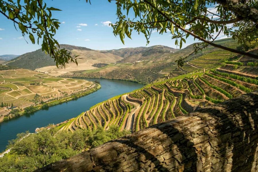 Exclusive Douro Valley: 3 Wineries, 9 Wine Tastings & Lunch - From Porto at 8:30 to Douro viewpoints: how the day is paced
