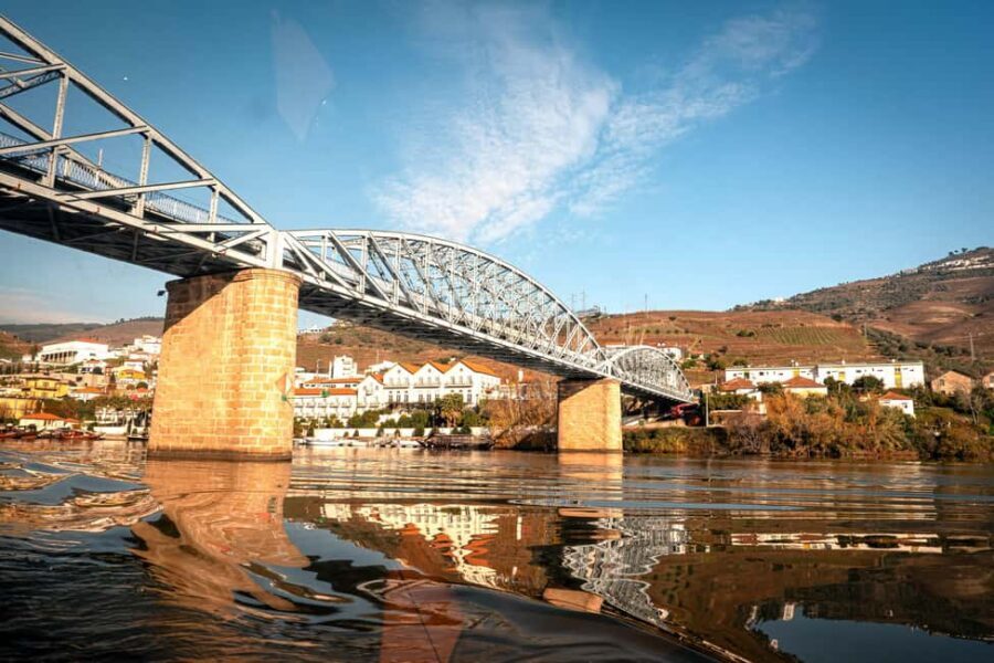 Exclusive Douro Valley: 3 Wineries, 9 Wine Tastings & Lunch - Lunch by the riverside: DOC Douro, Portuguese flavors, and one caution