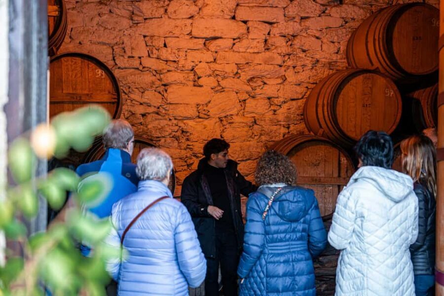 Exclusive Douro Valley: 3 Wineries, 9 Wine Tastings & Lunch - Stop 2: second small winery with big views and a four-wine tasting
