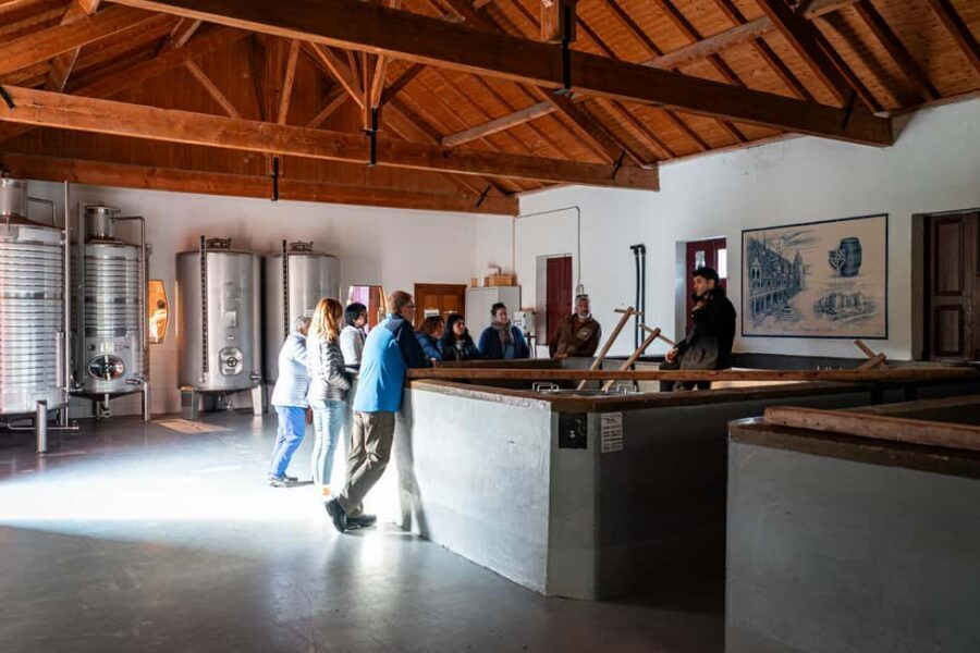 Exclusive Douro Valley: 3 Wineries, 9 Wine Tastings & Lunch - Stop 3 in Pinhão: the Vintage Port tasting finale