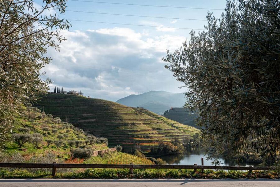 Exclusive Douro Valley: 3 Wineries, 9 Wine Tastings & Lunch - Small group and guide style: what you’ll likely enjoy about the human part