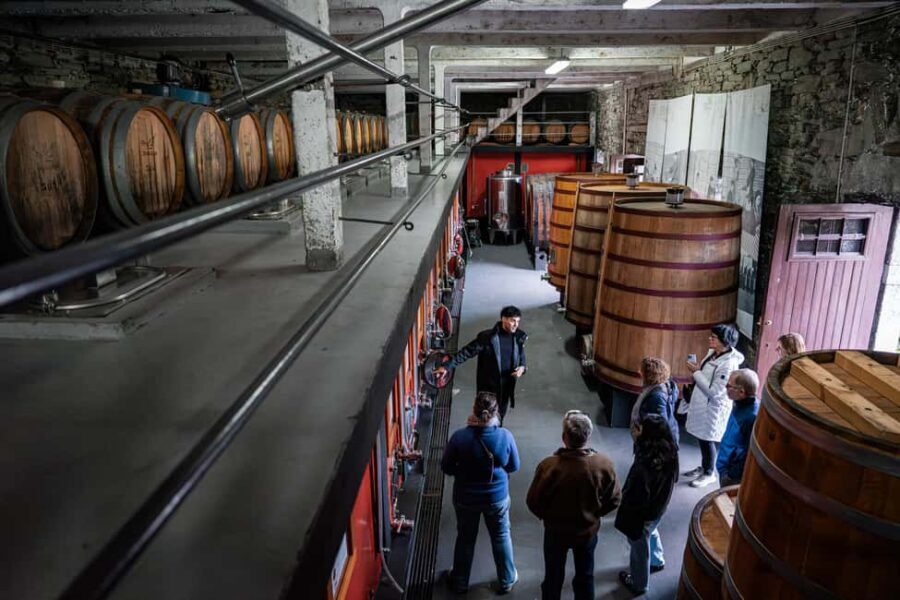Exclusive Douro Valley: 3 Wineries, 9 Wine Tastings & Lunch - Practical tips before you go: timing, heat, and keeping your day fun