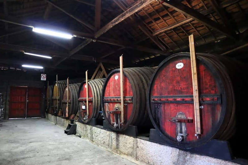 Exclusive Douro Valley: 3 Wineries, 9 Wine Tastings & Lunch - Stop 1: the first winery tour teaches Port from lagar to oak