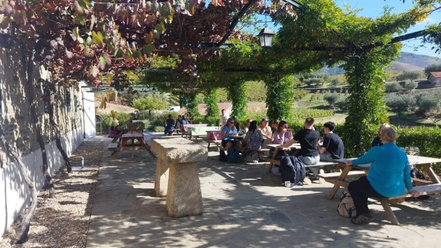 From Pinhão: Douro Valley Tour w/ Wine Tasting and Boat Trip - Price and Value: Is $64 Worth It for a 3-Hour Douro Hit?