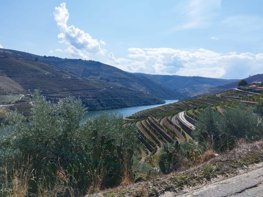 From Pinhão: Douro Valley Tour w/ Wine Tasting and Boat Trip - Who This Tour Is Perfect For (and Who Should Choose Another Plan)