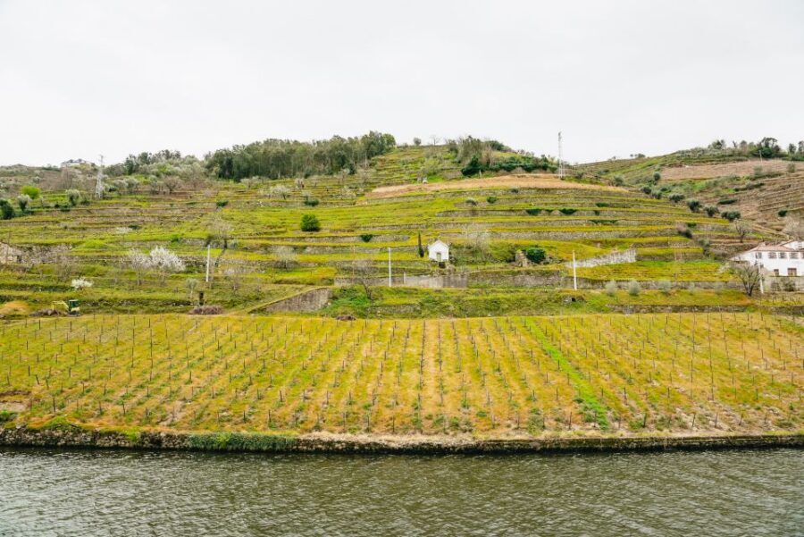 From Porto: Douro River Cruise to Régua with Lunch - Your Régua time: a short window that still works
