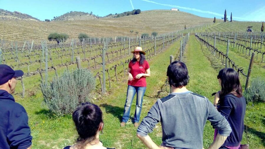 From Porto: Douro Valley 3 Vineyards Tour with Lunch - Key things you should know before you go