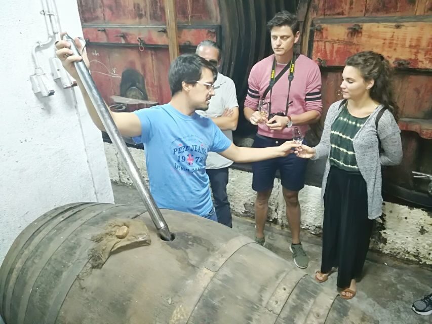 From Porto: Douro Valley 3 Vineyards Tour with Lunch - Second vineyard: DOC and Port tastings with a more hands-on feel