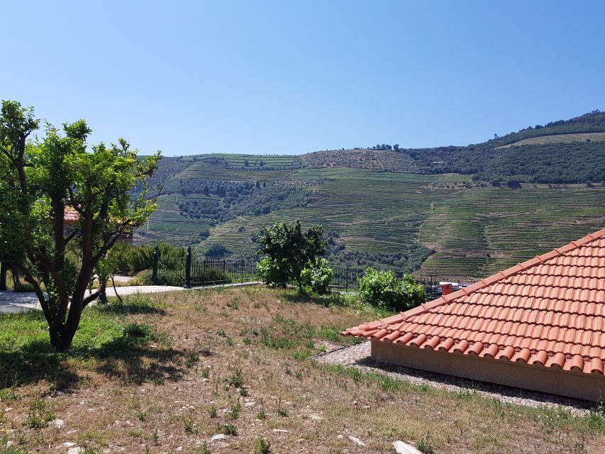 From Porto: Douro Valley 3 Vineyards Tour with Lunch - Port vs DOC table wines: what you’ll actually taste