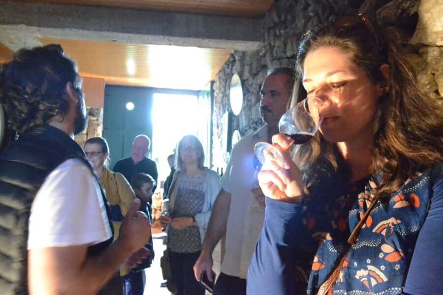 From Porto: Douro Valley 3 Vineyards Tour with Lunch - Why guides like Rita, Paulo, Steve, and Jaoa make a difference