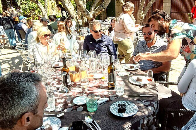 From Porto: Douro Valley Tour with 2 Wineries, Lunch and Cruise - Group size, comfort, and when microphone issues show up