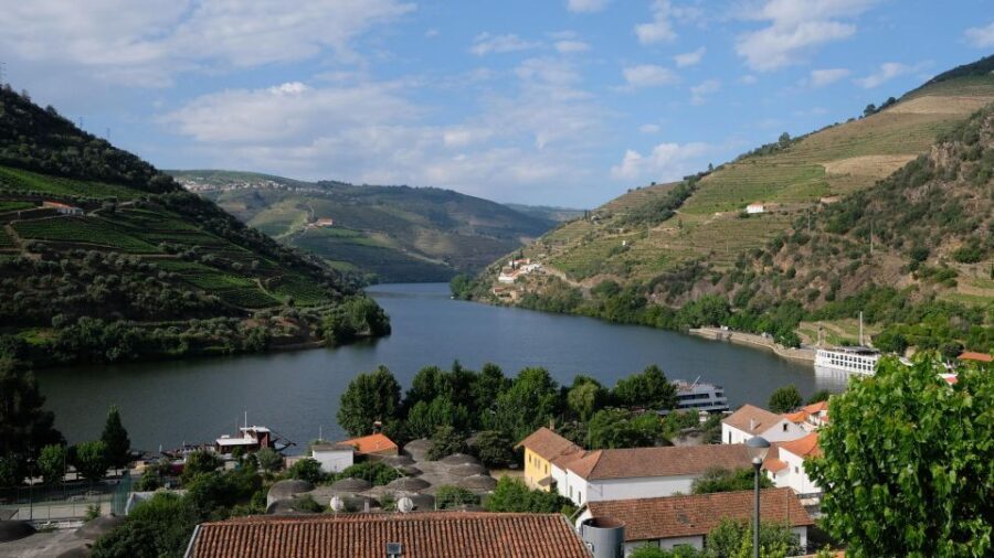 From Porto: Douro Valley Tour with Tastings, Boat & Lunch - Family-owned winery #1: Douro DOC tastings with the how-and-why
