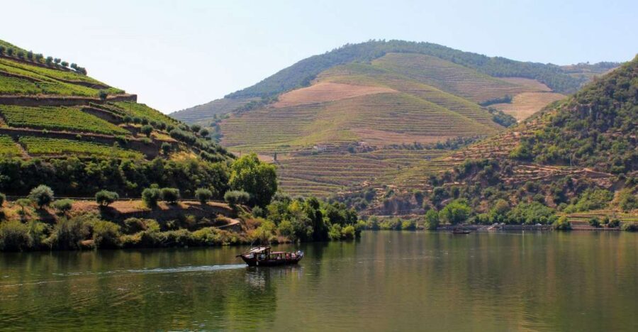 From Porto: Douro Valley Tour with Tastings, Boat & Lunch - Family-owned winery #2: Port wine production and tastings