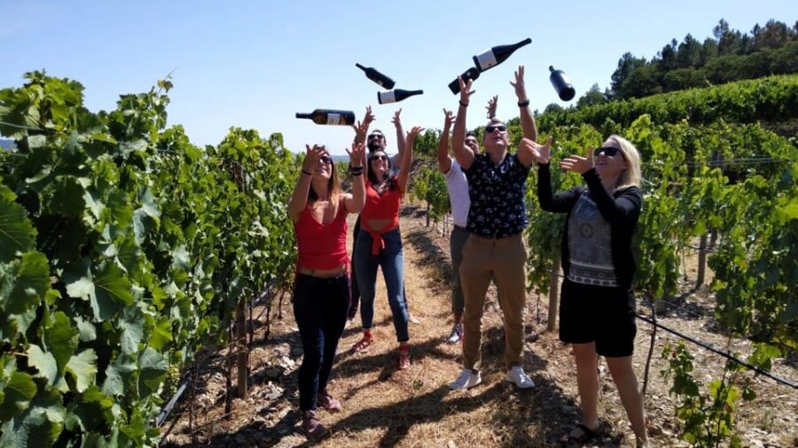 From Porto: Douro Valley Tour with Tastings, Boat & Lunch - The drive itself: your first taste of what makes the Douro different