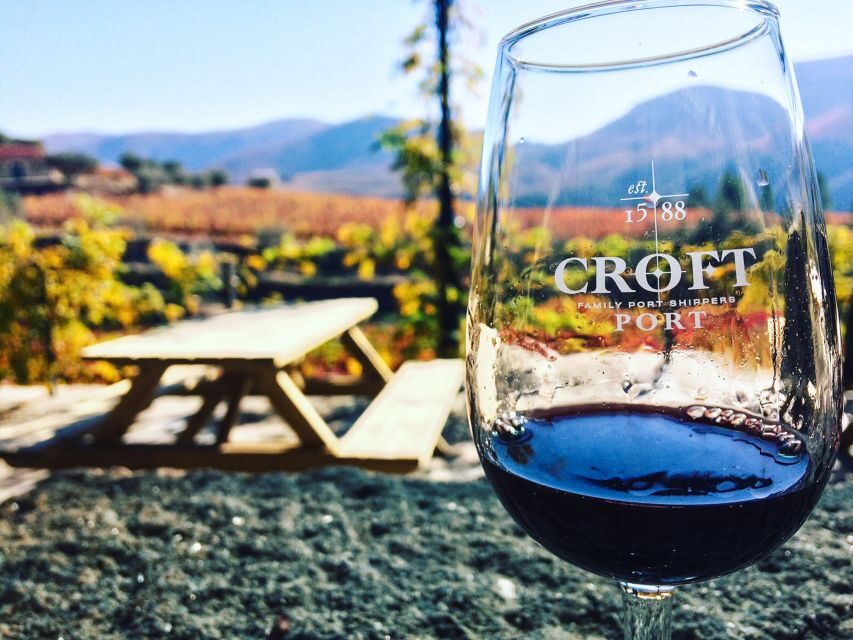From Porto: Douro Valley w/ Boat Tour, Wine Tasting & Lunch - The N222 Scenic Drive and Viewpoints: A Pretty Finish (When the Timing Works)
