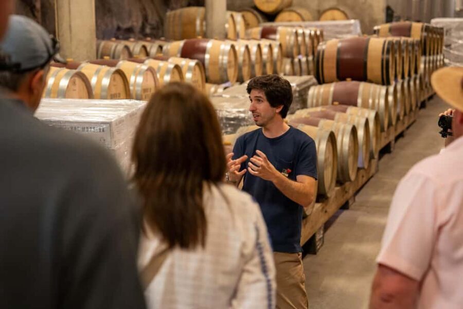 From Porto: Douro Valley Wine Tour with Lunch and Cruise - Photo stop and then lunch with DOC wine pairings