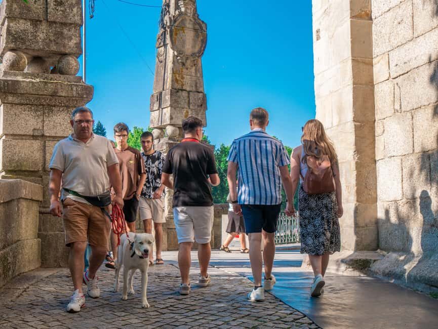 From Porto: Douro Valley Wine Tour with Lunch and Cruise - The best part isn’t just wine: it’s how the day is paced