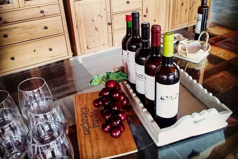 From Porto: Douro Valley with Wineries, Lunch and Boat Trip - Key things that make this Douro trip work