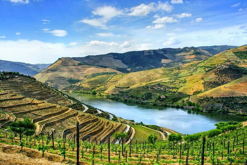 From Porto: Douro Valley with Wineries, Lunch and Boat Trip - Porto to the Douro Valley by van: pace, comfort, and what you gain