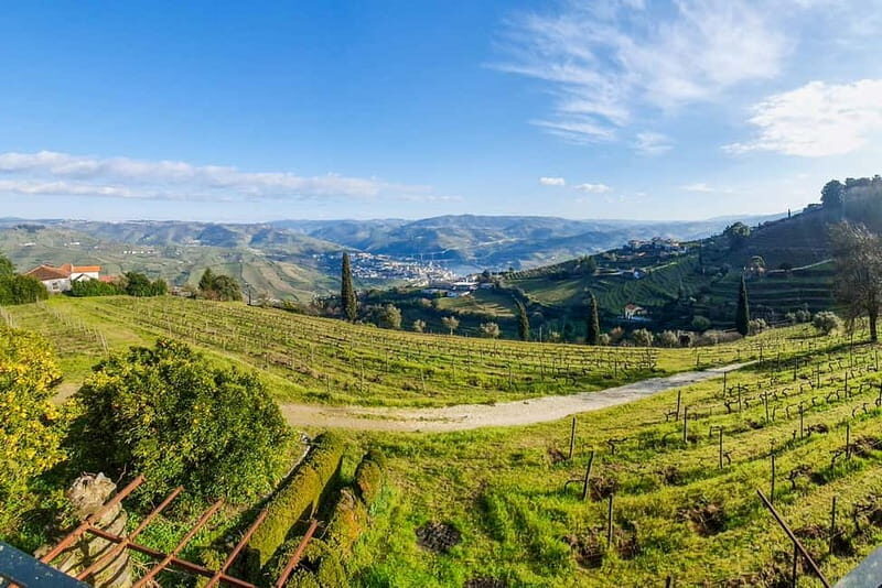 From Porto: Douro Valley with Wineries, Lunch and Boat Trip - Who should book this Douro Valley tour, and who should skip it