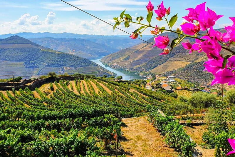 From Porto: Douro Valley with Wineries, Lunch and Boat Trip - Amarante and Peso da Régua: the quick breaks that make the full day feel human