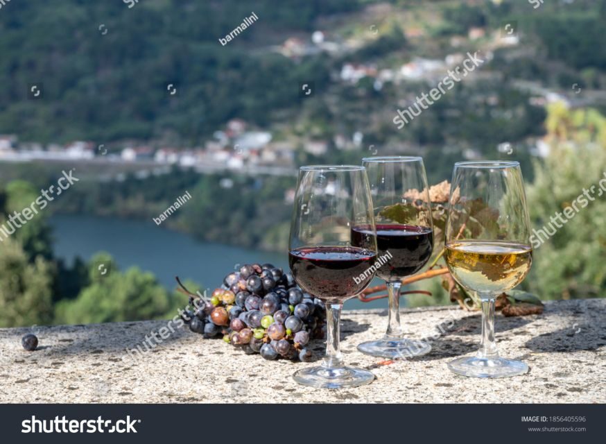 From Porto: Full-Day Douro Historical Tour - Key Things I’d Focus On