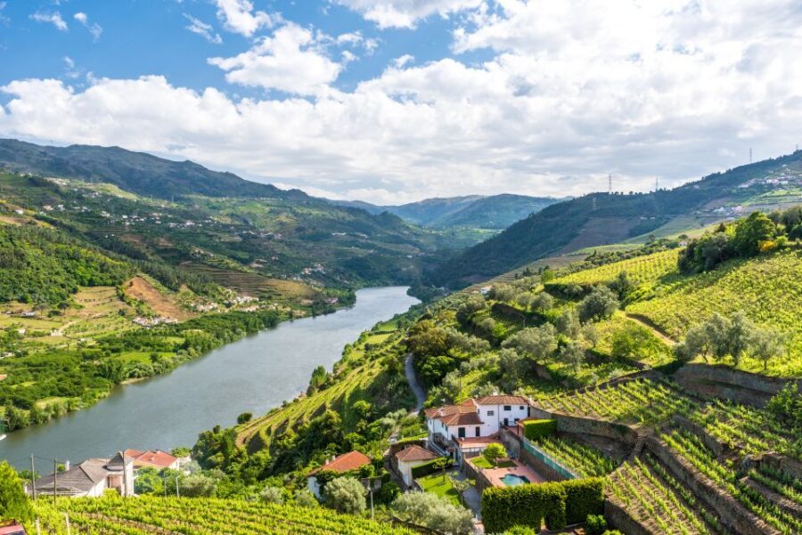 From Porto: Full-Day Douro Historical Tour - Porto to the Douro Valley: how this bus day really moves
