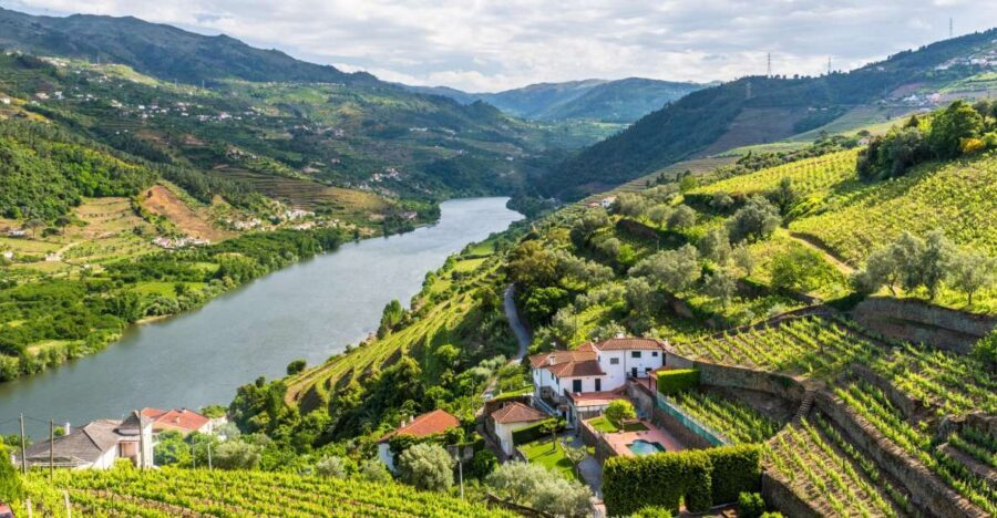 From Porto: Full-Day Douro Historical Tour - Viewpoint stop: the quick photo break that can still be worth it