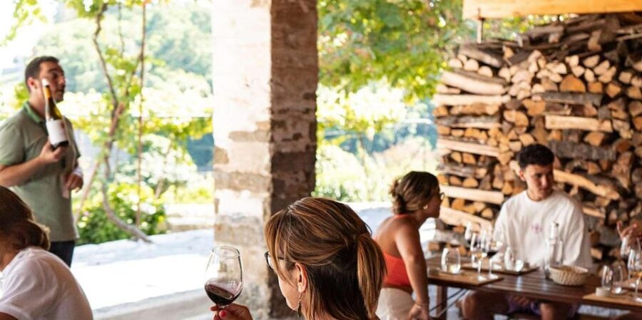 From Porto: Full-Day Douro Valley Trip - Group size and pacing: why the day can feel busy