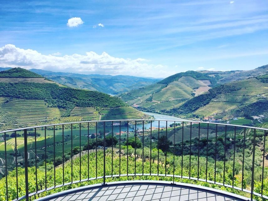 From Porto: Full-Day Douro Valley Trip - Lunch in a wine cellar: a real meal with pairing