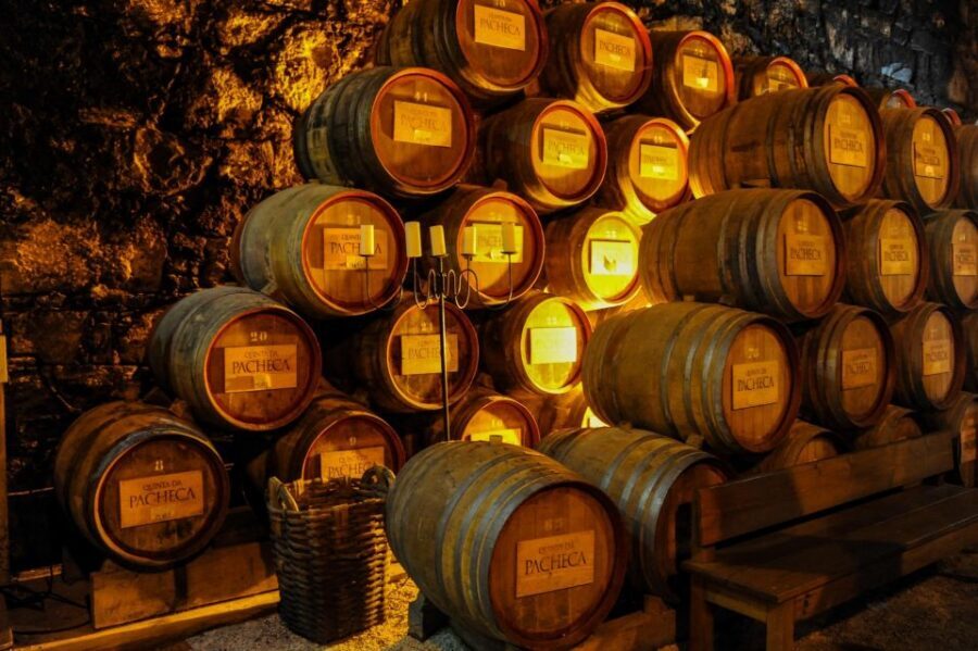 From Porto: Full-Day Douro Valley Trip - N222 scenic drive and viewpoint rhythm
