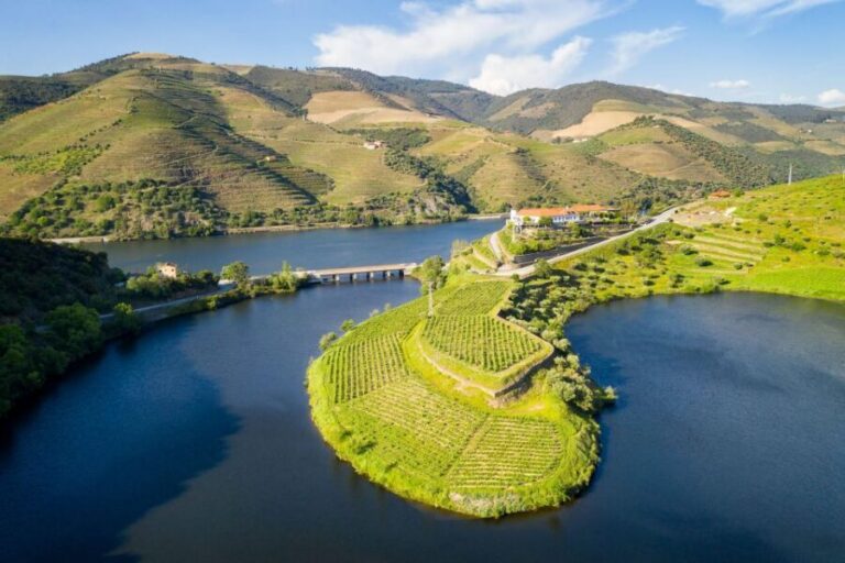 From Porto: Full-Day Douro Valley Trip - The ride to the Douro Valley: what to do during the long transfer
