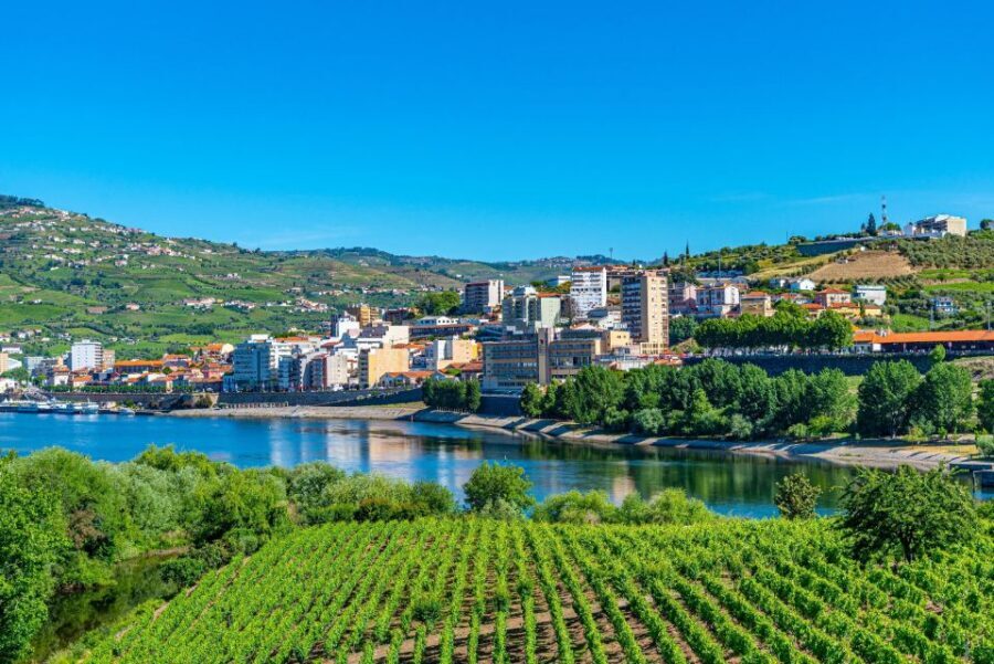 From Porto: Full-Day Douro Valley Trip - Winery stop 2 in Pinhão: second producer, second perspective